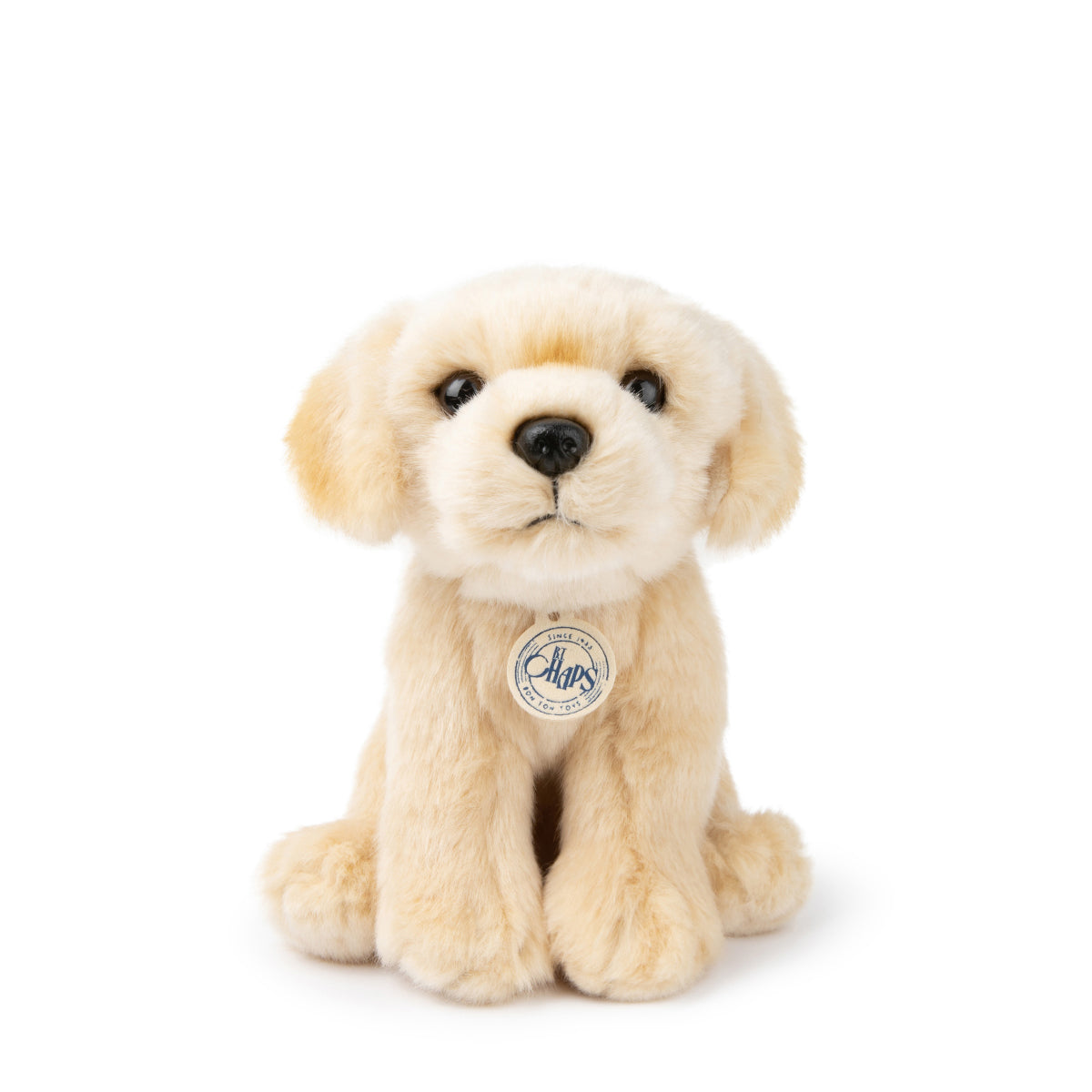 bt-chaps-loulou-the-labrador-20cm-8-btch-32177002