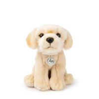 bt-chaps-loulou-the-labrador-20cm-8-btch-32177002