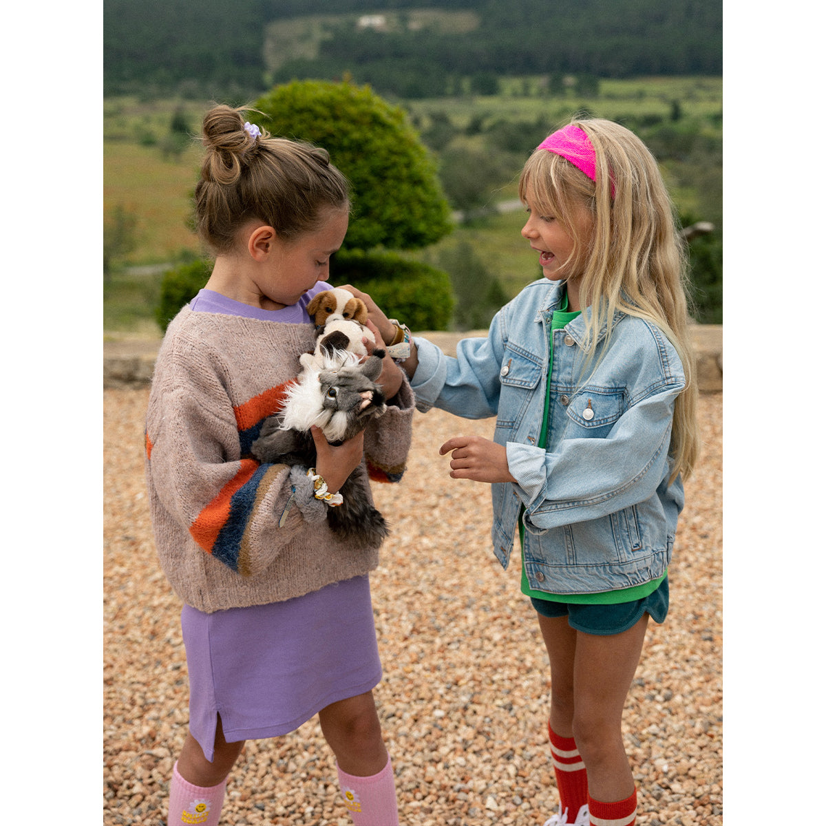 bt-chaps-nancy-the-norwegian-forest-cat-20cm-8-btch-32179002