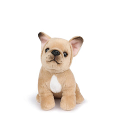 bt-chaps-philippe-the-french-bulldog-17cm-6-5-btch-32177008