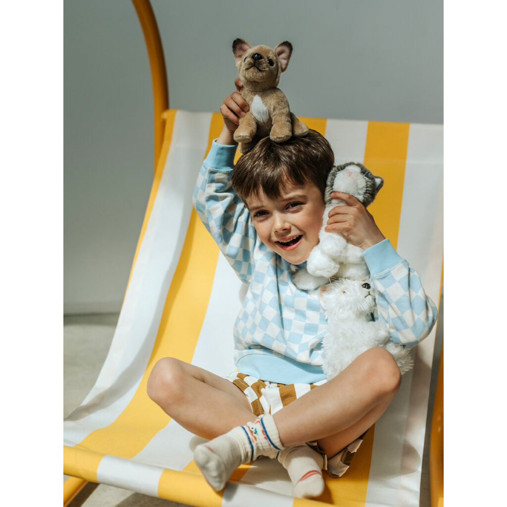 bt-chaps-philippe-the-french-bulldog-17cm-6-5-btch-32177008