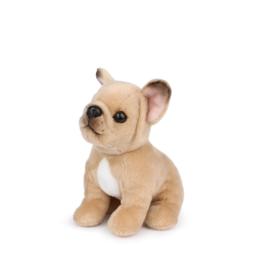 bt-chaps-philippe-the-french-bulldog-17cm-6-5-btch-32177008