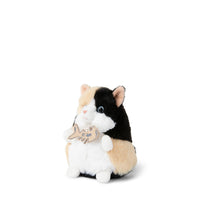 bt-chaps-sally-the-calico-12cm-4-5-btch-32179006
