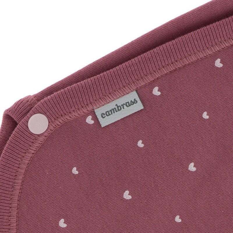 cambrass-body-l-sleeve-crossed-raspberry-rjc-47529