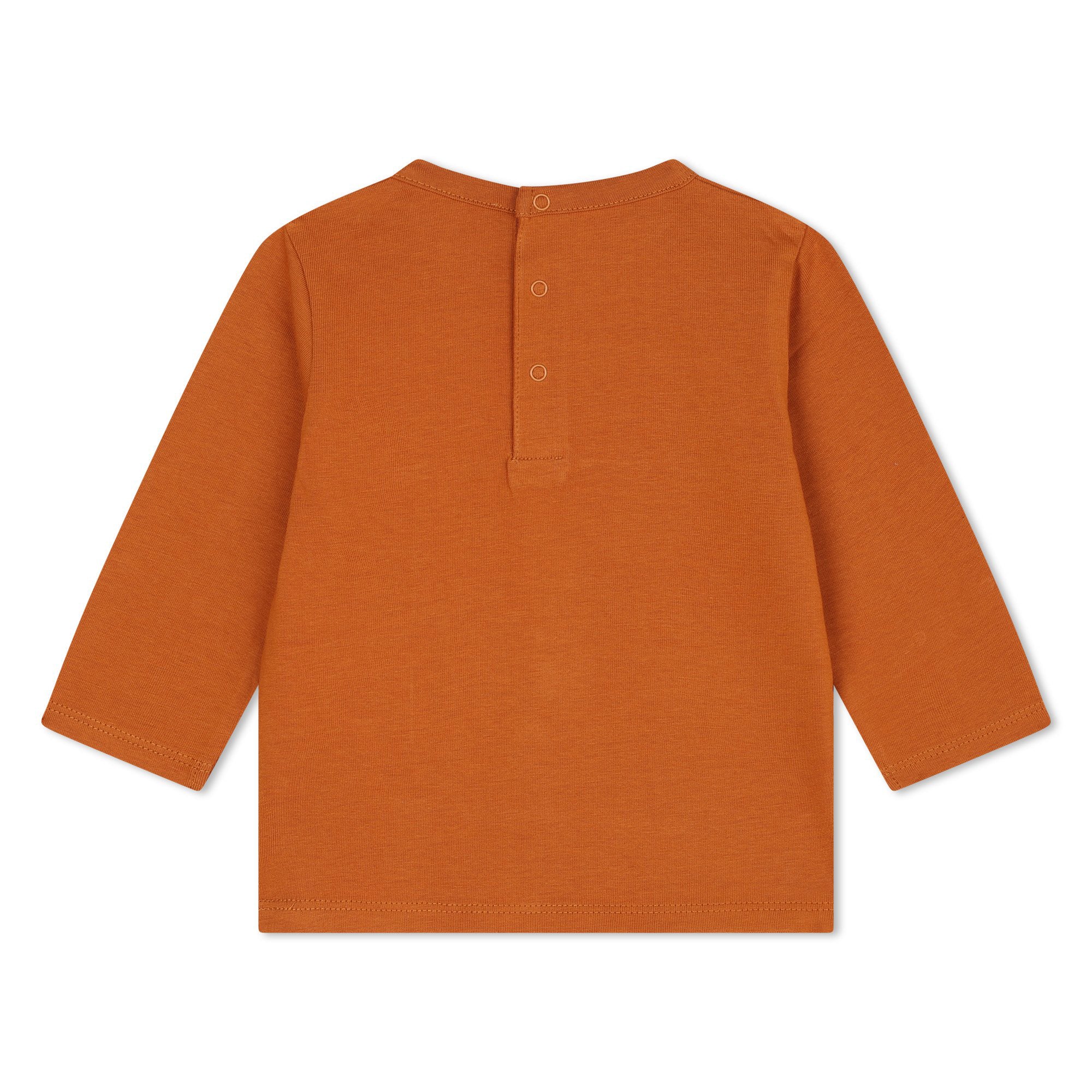 carrement-beau-long-sleeve-t-shirt-light-chocolate-brown-carr-w24y30285-305-02a