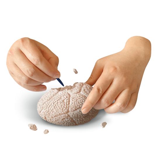 depesche-dino-world-explorer-set-depe-0013335