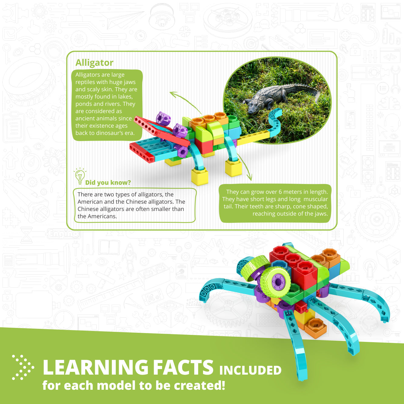 engino-qboidz-alligator-with-5-bonus-models-engn-qb40