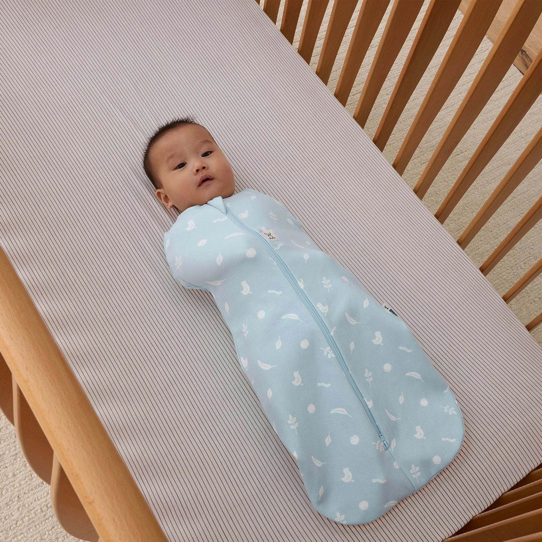 ergopouch-cocoon-swaddle-bag-0-2-tog-ducks-baby-nursery-ergo-zepco-0-2t00-03mbk251