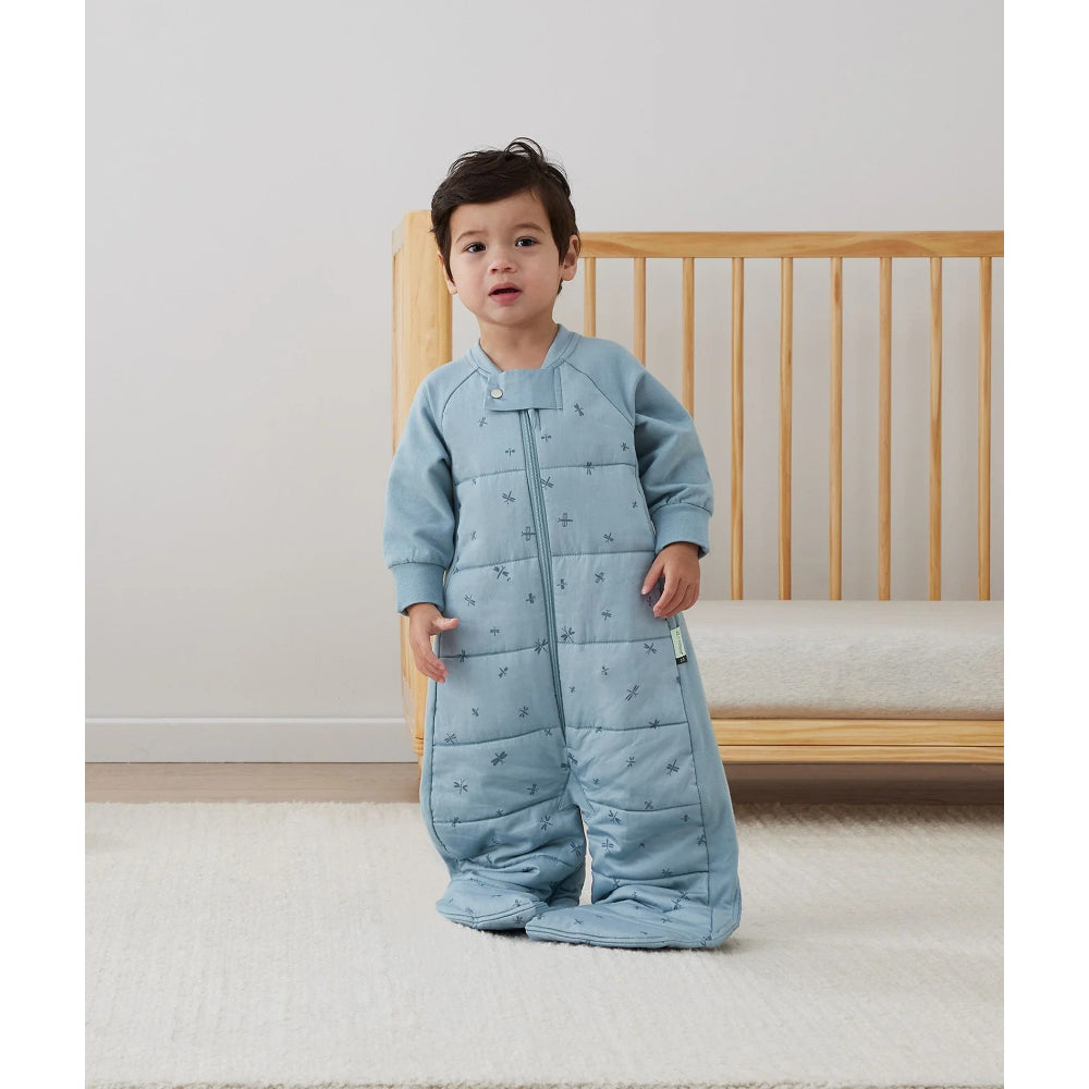 ergopouch-sleep-suit-bag-2-5-tog-dragonflies-ergo-zepss-2-5t02-04ydf23