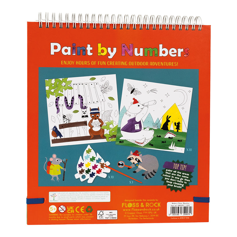 floss-&-rock-paint-by-numbers-adventure-flor-48p5997