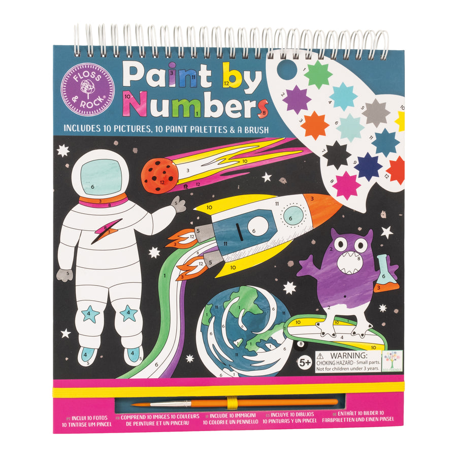 floss-_-rock-paint-by-numbers-space-flor-48p5998