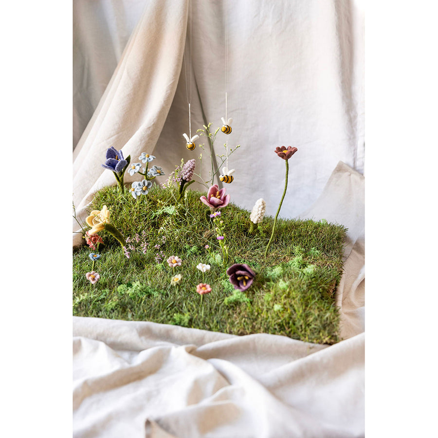 gry-sif-anemone-dusty-rose-30cm