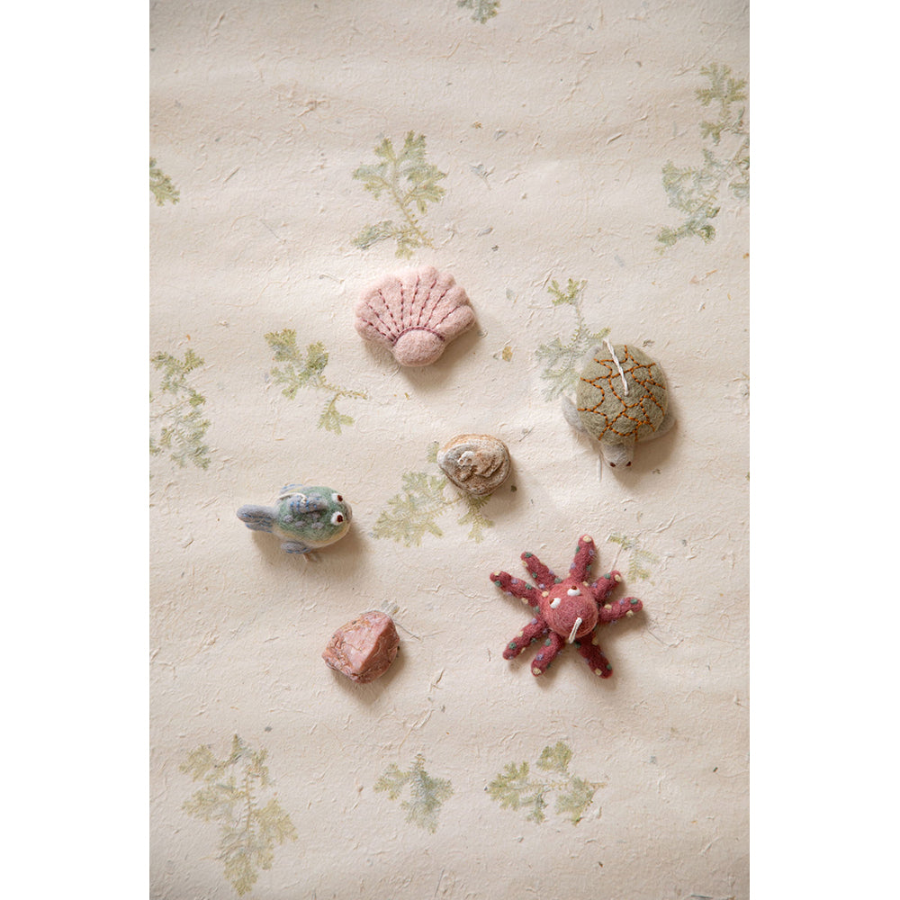 gry-sif-clam-light-dusty-rose-5-5cmx6-5cm