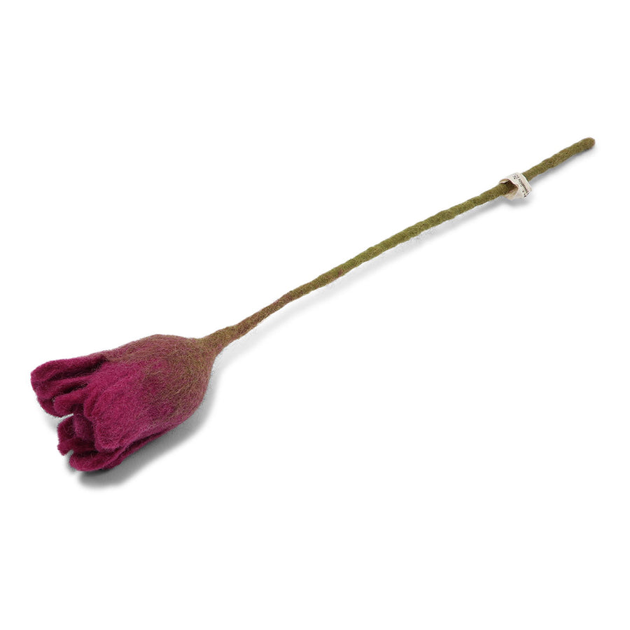gry-sif-tulip-cerise-30cm