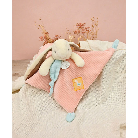histoire-d-ours-lapin-ciboulette-doudou-hdo-dc4207