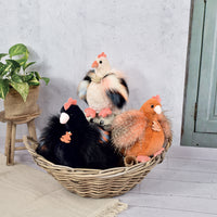 histoire-d-ours-poulette-beige-20cm-hdo-ho3162