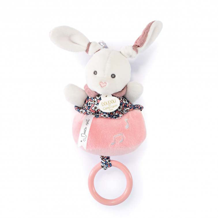 histoire-dours-bunny-music-box-hdo-dc4028