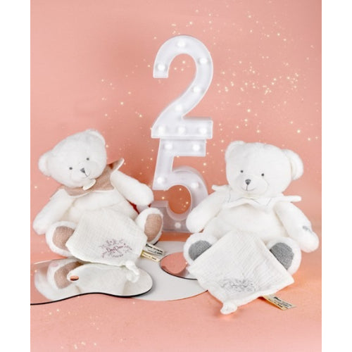 histoire-dours-doudou-25-ans-bear-silver-plush-with-doudou-hdo-dc4339