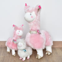 histoire-dours-lama-rose-pm-20cm-hdo-ho2801