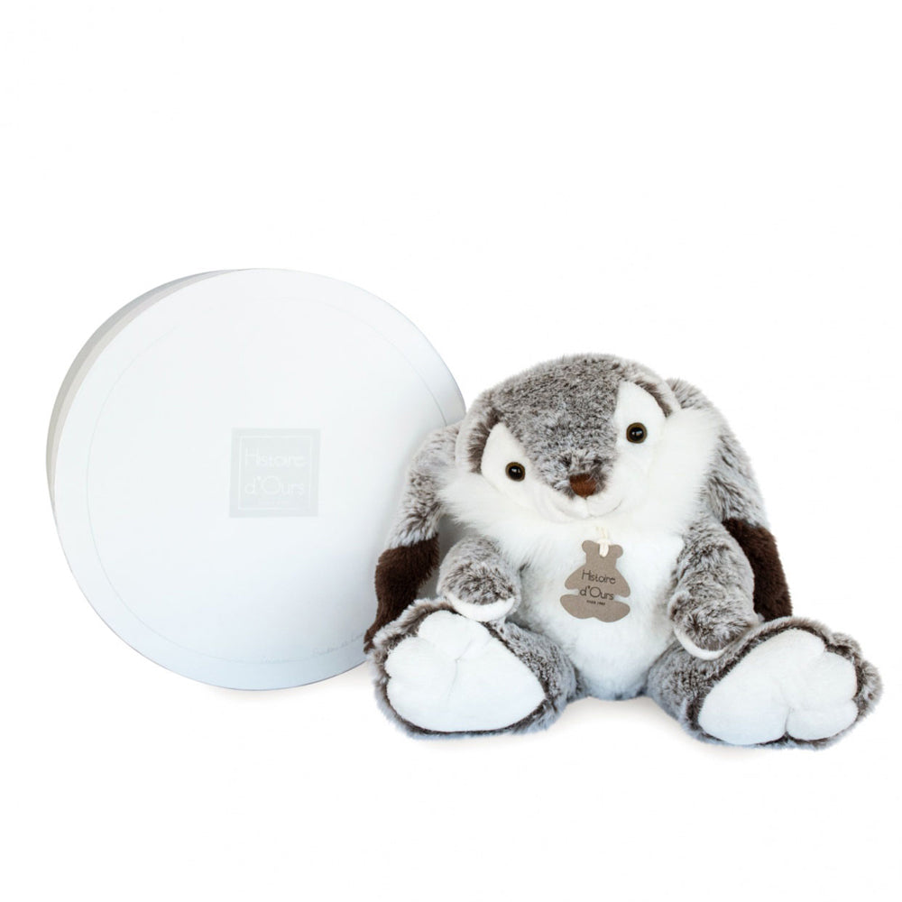 histoire-dours-lapin-marius-rabbit-hdo-ho2061
