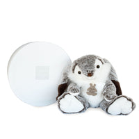 histoire-dours-lapin-marius-rabbit-hdo-ho2061