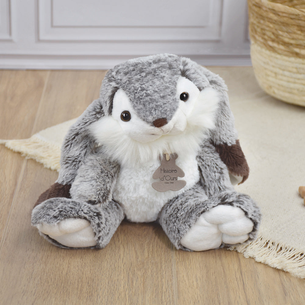 histoire-dours-lapin-marius-rabbit-hdo-ho2061
