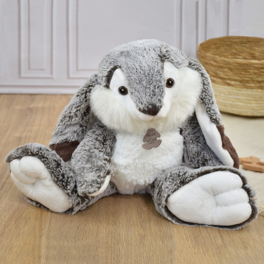 histoire-dours-lapin-marius-rabbit-hdo-ho2297