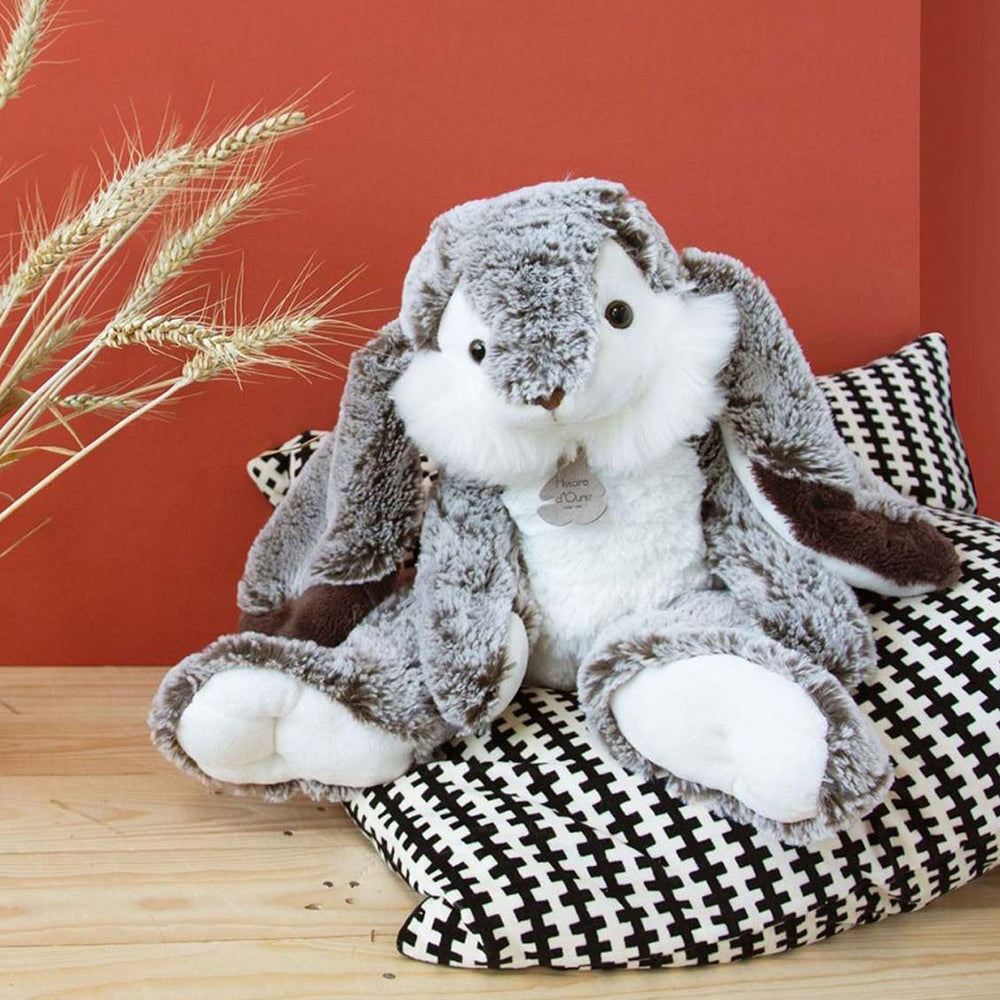 histoire-dours-lapin-marius-rabbit-hdo-ho2297