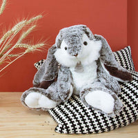 histoire-dours-lapin-marius-rabbit-hdo-ho2297