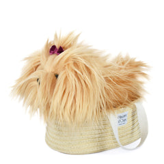 histoire-dours-les-petitsnomades-dog-yorkshire-hdo-ho3154
