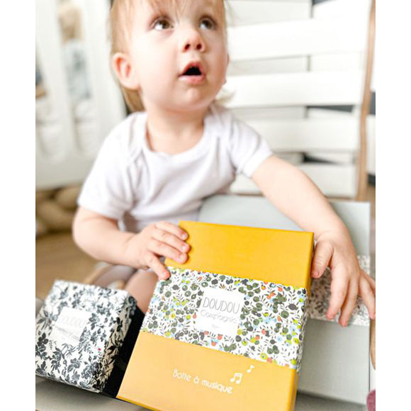 histoire-dours-lion-music-box-hdo-dc4026