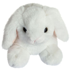 histoire-dours-rabbit-display-hdo-ho3000