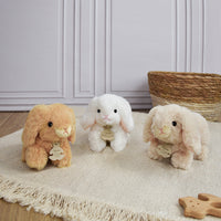histoire-dours-rabbit-display-hdo-ho3000