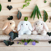 histoire-dours-rabbit-display-hdo-ho3000