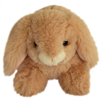 histoire-dours-rabbit-display-hdo-ho3000