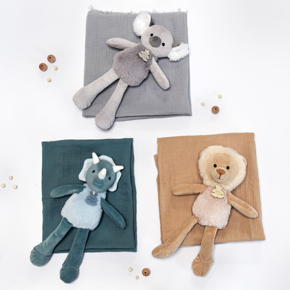 histoire-dours-sweety-chou-lion-hdo-ho2946
