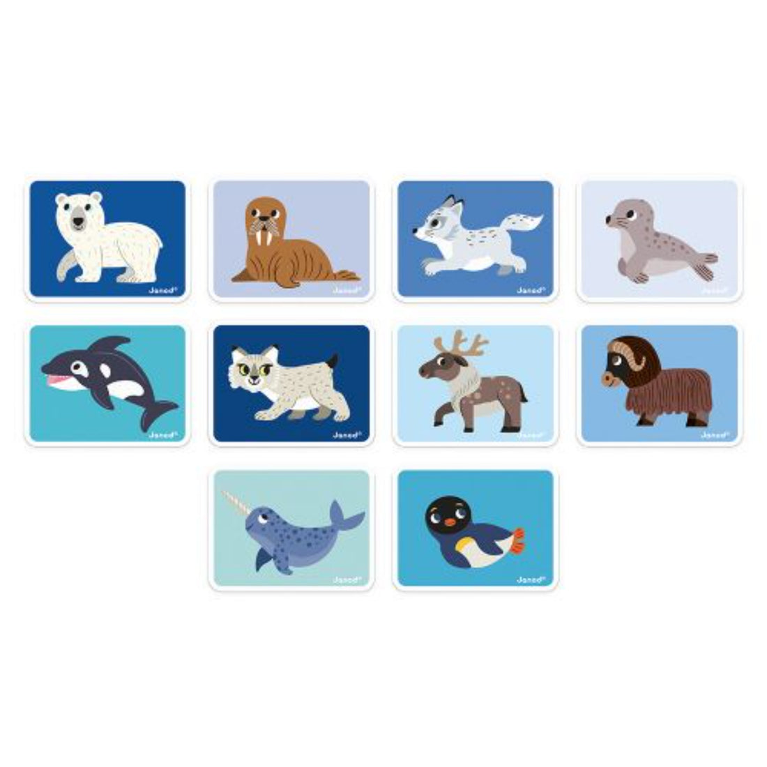 janod-magneti-book-polar-animals-play-toy-jura-j02599-5