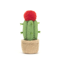 jellycat-amuseable-moon-cactus-jell-a6mca