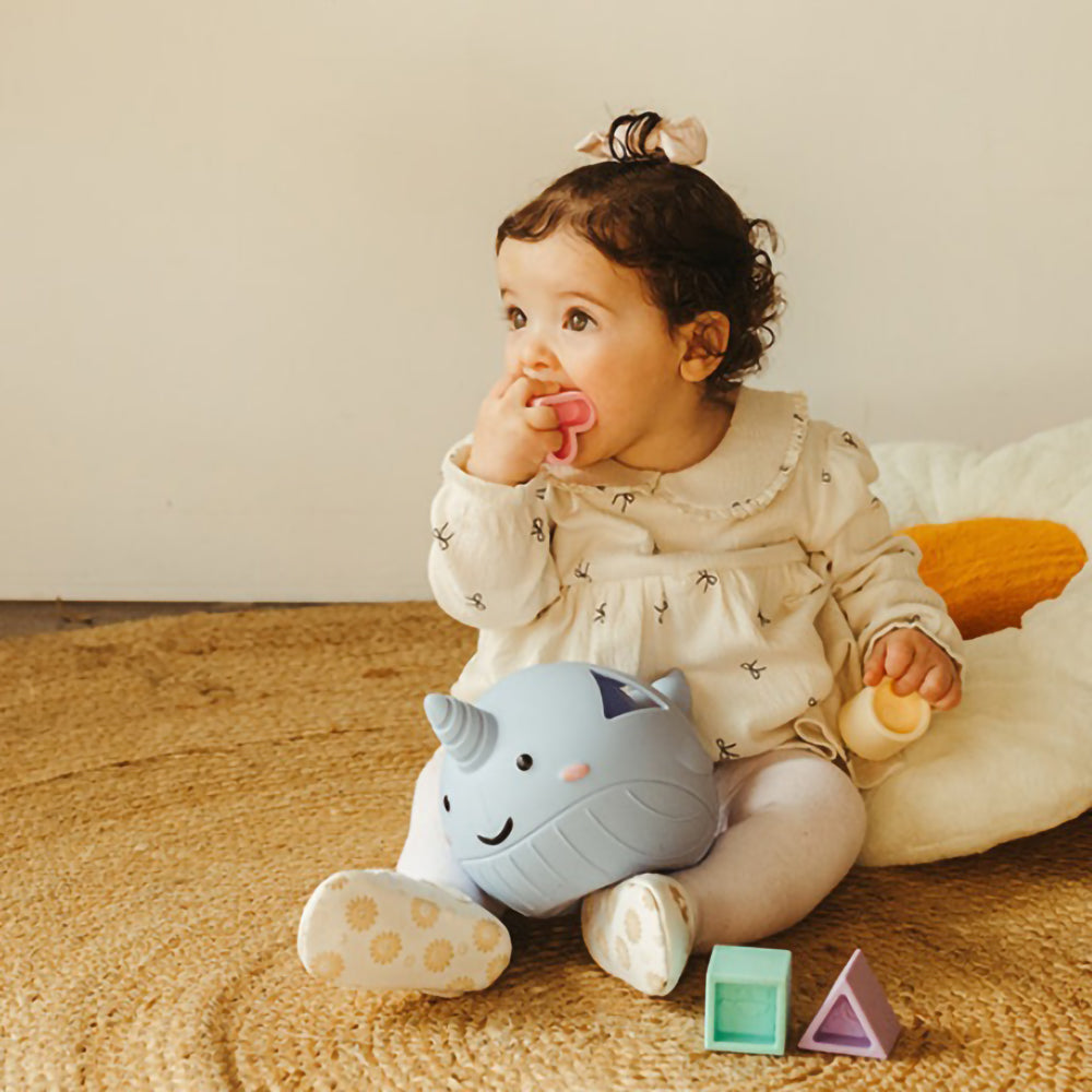 jellystone-designs-narwhal-shape-sorter-pastel