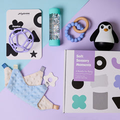 jellystone-designs-soft-sensory-moments-bundle-for-newborns-play-toy-jest-ssmb