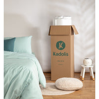 kadolis-junior-mattress-aloe-r-90x190x12cm-new-kado-mjualoe05-pl