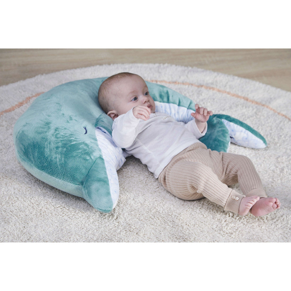kaloo-my-dolphin-grow-with-me-soothing-plush-play-toy-kalo-k211000