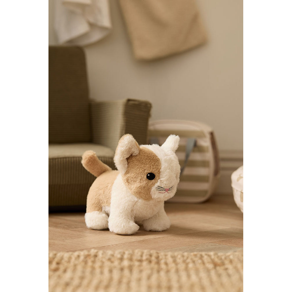 kids-concept-cat-and-carrier-bag