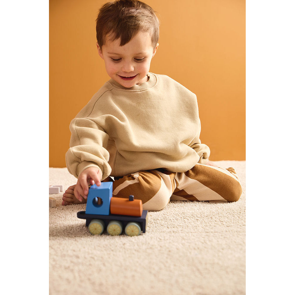 kids-concept-farm-animal-train