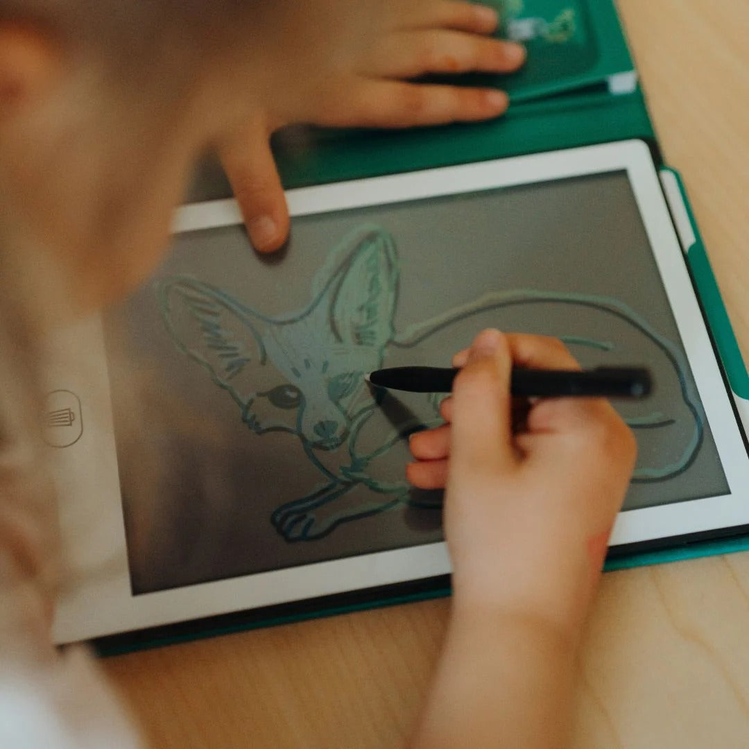 kidywolf-kidydraw-mini-drawing-pad-animals-around-the-world-kidw-kidydraw-mini-aaw