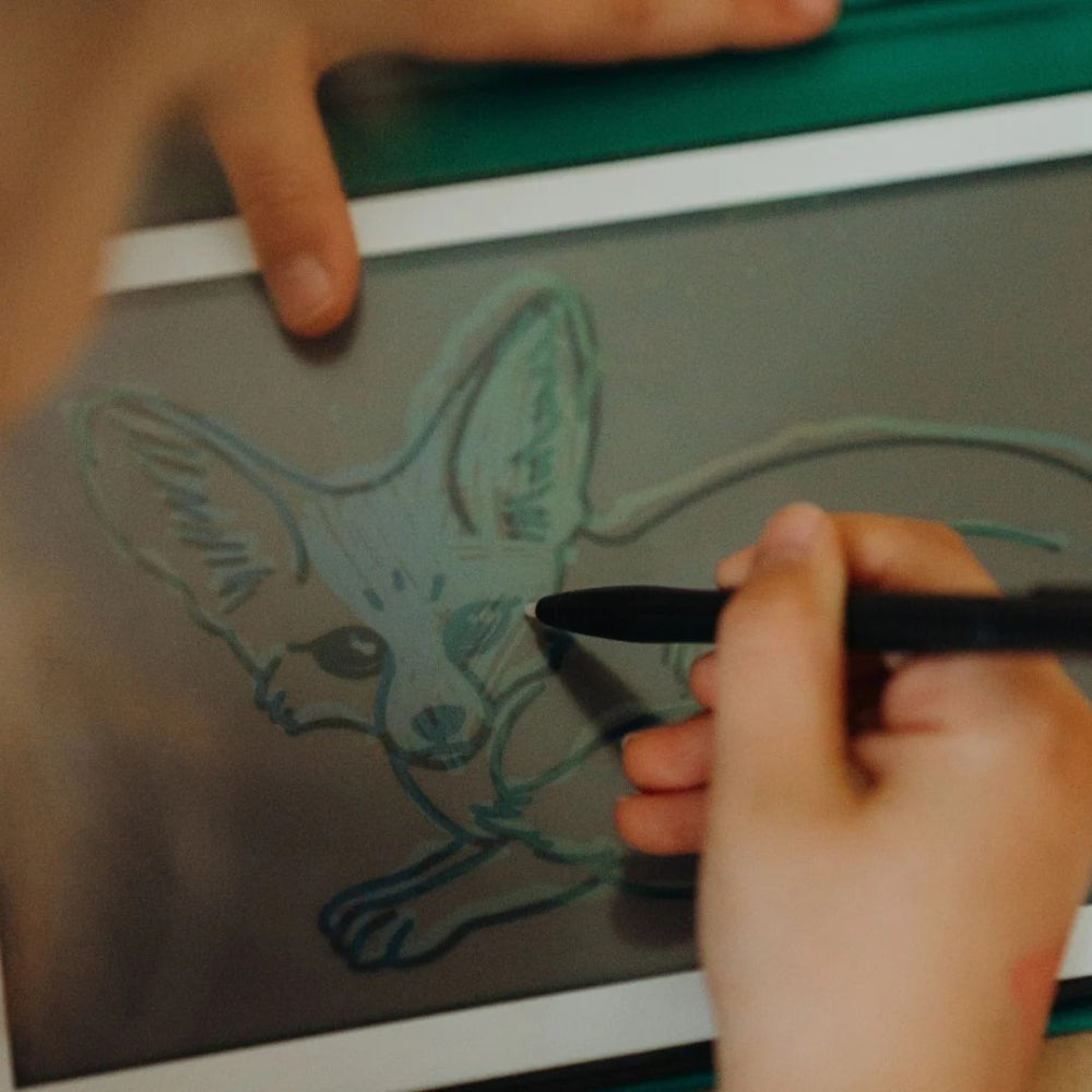 kidywolf-refil-kidydraw-mini-drawings-animals-around-the-world-and-oceans-and-pirates-kidw-refil-draw-mini-aaw-opi