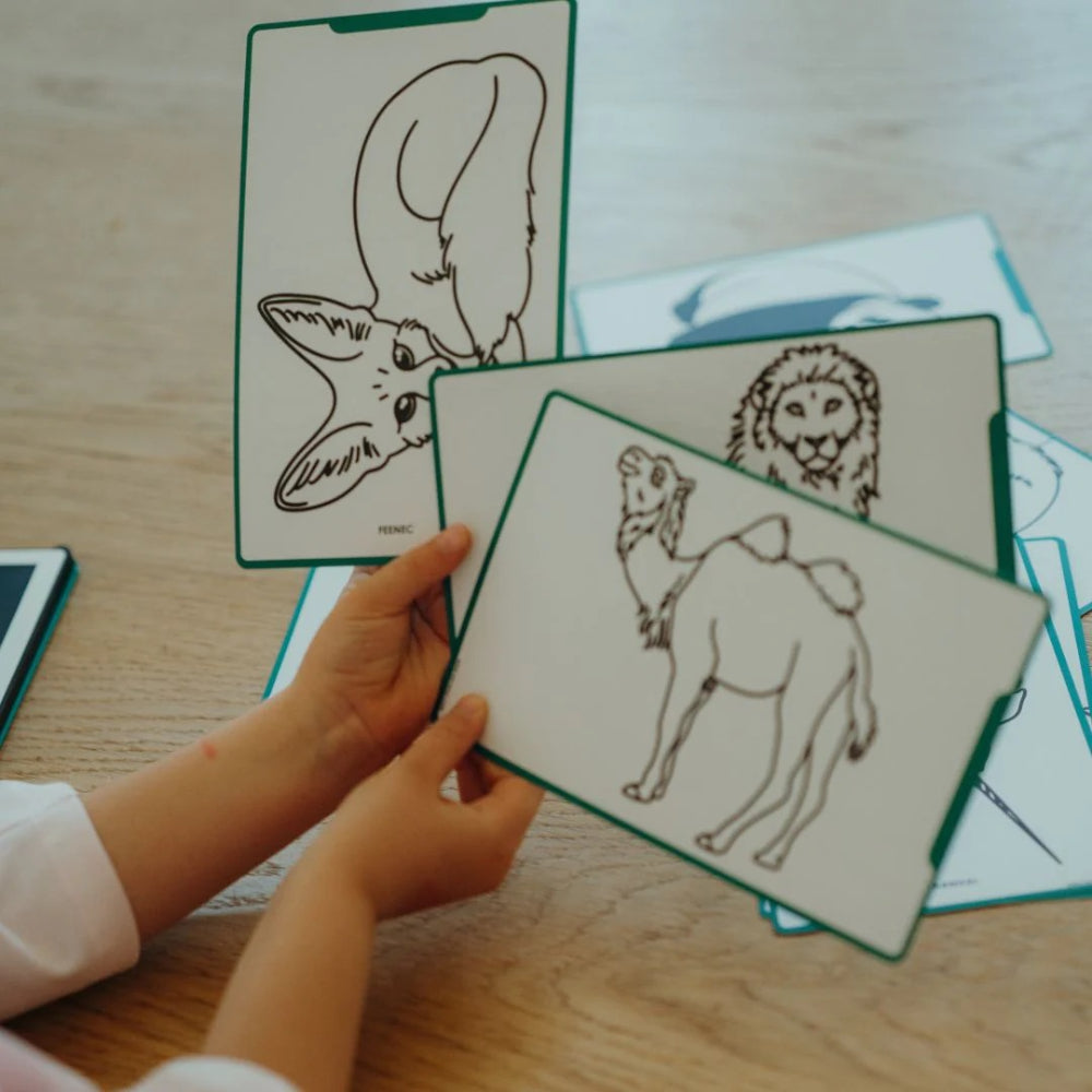 kidywolf-refil-kidydraw-mini-drawings-animals-around-the-world-and-oceans-and-pirates-kidw-refil-draw-mini-aaw-opi