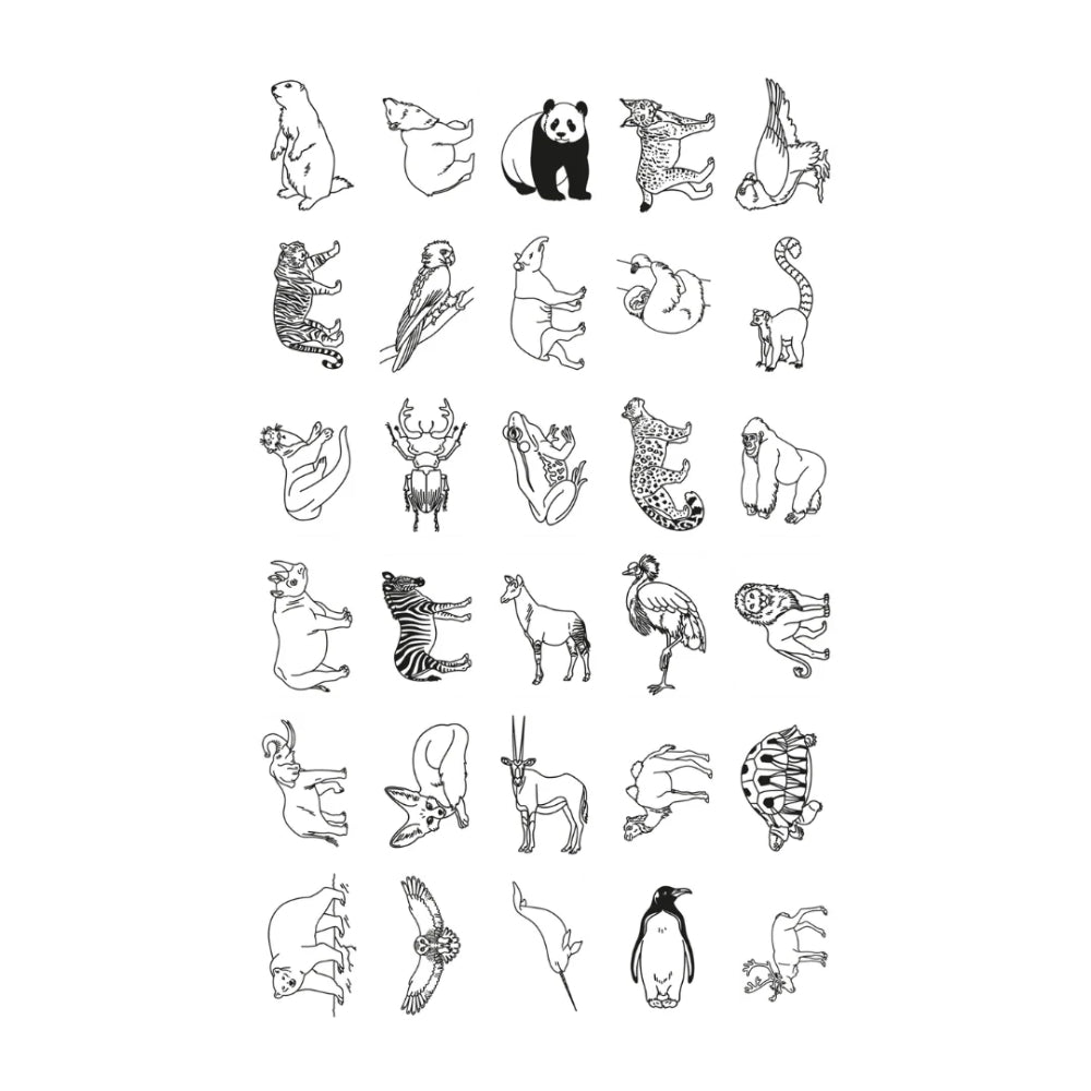 kidywolf-refil-kidydraw-mini-drawings-animals-around-the-world-and-oceans-and-pirates-kidw-refil-draw-mini-aaw-opi