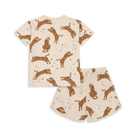 konges-slojd-basic-set-gots-tiger-sand-kong-s24ks100766-ts-12m
