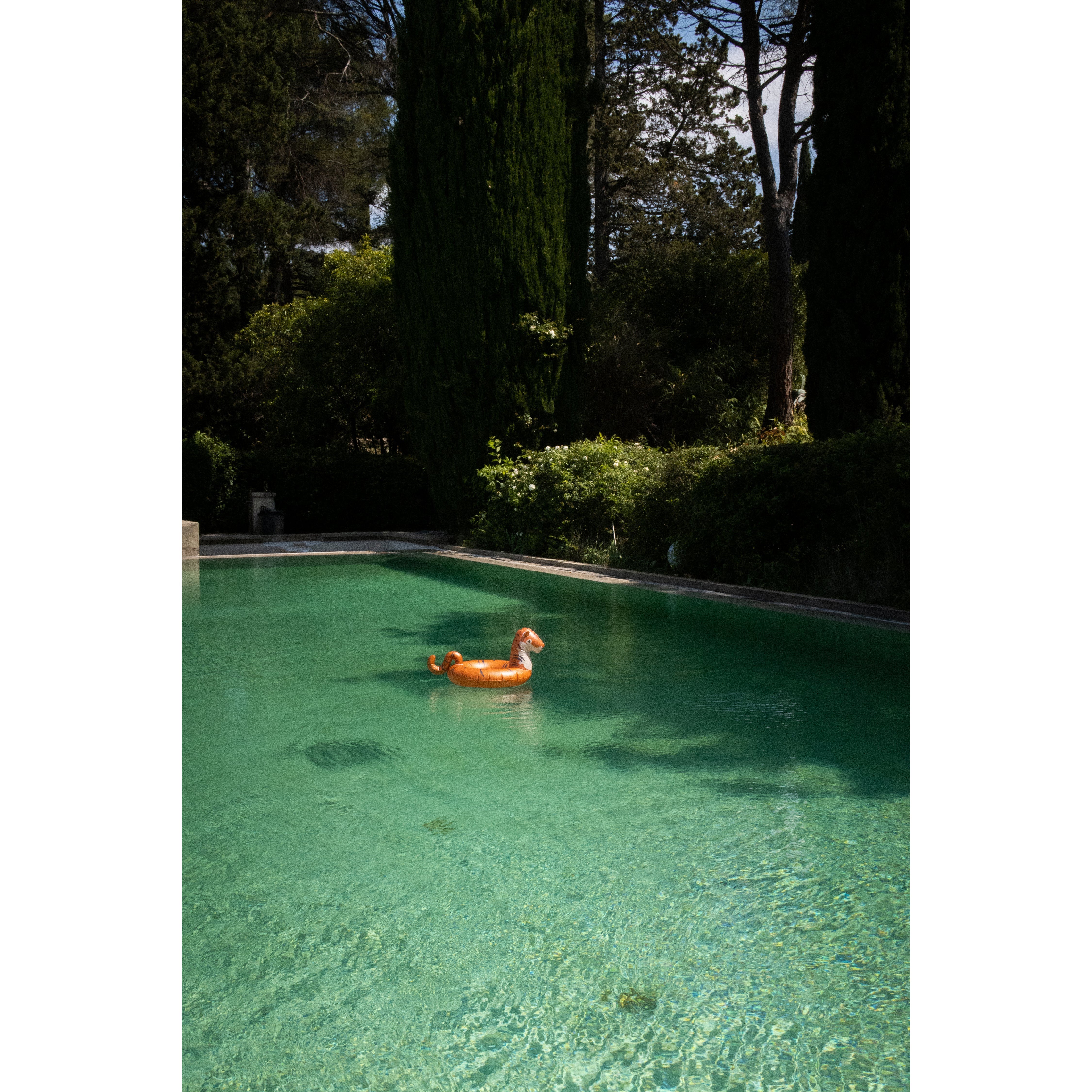 konges-slojd-swim-ring-tiger-orange-os-kong-s24ks100529-orange-os